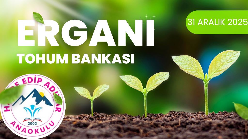 Veli Seminerleri ve Uygulamaları